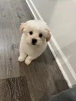 processed/207ce686-f855-4b87-9d28-b4df478521a7/listing/fb479235-e267-4338-b4dd-a2e12a6e9e7a/1298a6b8-698f-48e9-a3c8-6b2589832b72