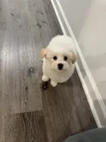 processed/207ce686-f855-4b87-9d28-b4df478521a7/listing/fb479235-e267-4338-b4dd-a2e12a6e9e7a/300a8f7f-5962-4e0c-8119-9caa88f03b1f