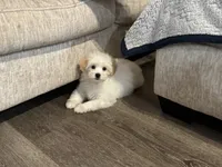 processed/207ce686-f855-4b87-9d28-b4df478521a7/listing/fb479235-e267-4338-b4dd-a2e12a6e9e7a/a6368565-f454-4e9c-a1b8-10c9e00c71e3