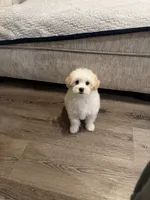 processed/207ce686-f855-4b87-9d28-b4df478521a7/listing/fb479235-e267-4338-b4dd-a2e12a6e9e7a/b8109195-860f-42cc-a3ba-a783d33729c8