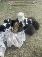 processed/20816338-453e-43b4-98e0-63bbc3ed6939/facility/307e6d32-6973-427d-bf2d-4dc86c7a481c