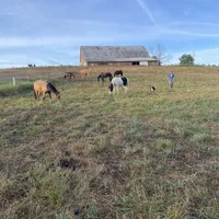 processed/20816338-453e-43b4-98e0-63bbc3ed6939/facility/b33619c8-cd7c-41d4-b868-de02ecd7e0e2