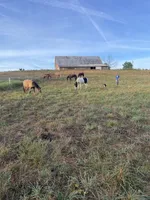 processed/20816338-453e-43b4-98e0-63bbc3ed6939/facility/b33619c8-cd7c-41d4-b868-de02ecd7e0e2