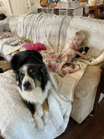 processed/20816338-453e-43b4-98e0-63bbc3ed6939/facility/e3fef92f-5671-484d-8c20-255c62f6f1b7