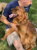 processed/20852a06-dd80-41a1-a178-df5393940040/facility/123c0246-62c5-4ae8-b87d-97bd3357646d