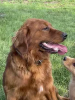 processed/20852a06-dd80-41a1-a178-df5393940040/facility/2db6ac53-7ca2-4304-9aee-bb76581ea251