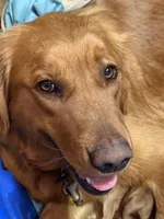 processed/20852a06-dd80-41a1-a178-df5393940040/facility/efcaa5cb-c7ca-47aa-90a5-2d6d17ef78b3