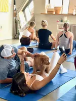 Champ, a female Golden Retriever for sale in Woodstock, CT – Photo 9 of 10