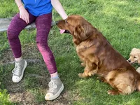 processed/20852a06-dd80-41a1-a178-df5393940040/listing/742e42bb-a562-4e0f-90ee-21d548832942/251a0b0c-ea3f-496a-9bda-1d9582cfd41e