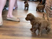 processed/20852a06-dd80-41a1-a178-df5393940040/listing/742e42bb-a562-4e0f-90ee-21d548832942/a4c7a03e-ef71-4a14-90c7-fe19c6efdb26