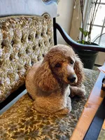 processed/20852a06-dd80-41a1-a178-df5393940040/listing/742e42bb-a562-4e0f-90ee-21d548832942/a86c4991-f7a2-4c5e-8bf4-d07534458e34