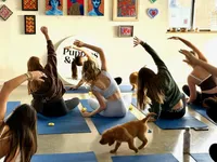 Amber, a female Golden Retriever for sale in Woodstock, CT – Photo 4 of 8