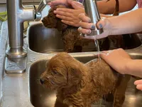 processed/20852a06-dd80-41a1-a178-df5393940040/listing/b2e71cac-5b5c-4973-884d-089b0b8e127e/fb28b18f-6b08-4a9c-a3fb-2c6534a73dbb