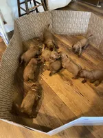 processed/20852a06-dd80-41a1-a178-df5393940040/listing/bfb2c211-4090-4a23-9a74-7e6dbdad6893/0d557a26-cdd5-4f7c-a76f-9b87128d58ac