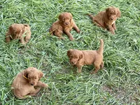 processed/20852a06-dd80-41a1-a178-df5393940040/listing/bfb2c211-4090-4a23-9a74-7e6dbdad6893/28907012-1998-4526-83f3-0a31cb03bfbb