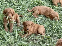 processed/20852a06-dd80-41a1-a178-df5393940040/listing/bfb2c211-4090-4a23-9a74-7e6dbdad6893/53f96545-2279-4ca3-bfa1-4dce97573d54