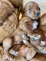 processed/20852a06-dd80-41a1-a178-df5393940040/listing/bfb2c211-4090-4a23-9a74-7e6dbdad6893/65e5f63f-7bd0-445e-ab5d-31f7e8c49c9e