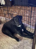 processed/208bf71d-96c7-45d8-bc27-8e33ecab2850/listing/9c34e6f0-1862-458a-a675-ca783a188680/093f58e6-69c8-4461-bd17-486e8c3887bd