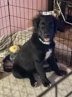 processed/208bf71d-96c7-45d8-bc27-8e33ecab2850/listing/9c34e6f0-1862-458a-a675-ca783a188680/4600d3fa-1319-4fbb-8f0d-5a2dfda4528f