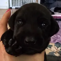 processed/20952a1b-0eb8-4527-be57-9e3b5198cefa/facility/2e7bdb7f-46e7-4115-bbbd-059c15c2eece