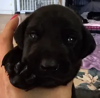 processed/20952a1b-0eb8-4527-be57-9e3b5198cefa/facility/2e7bdb7f-46e7-4115-bbbd-059c15c2eece