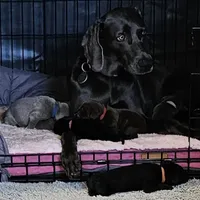 processed/20952a1b-0eb8-4527-be57-9e3b5198cefa/facility/330665a3-495f-42ac-9f47-e086d9ab8d9a