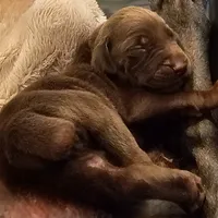 processed/20952a1b-0eb8-4527-be57-9e3b5198cefa/facility/4fcbd23c-b198-497d-b964-968a95478b94