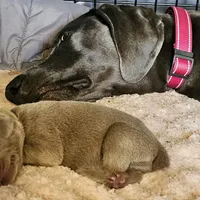 processed/20952a1b-0eb8-4527-be57-9e3b5198cefa/facility/7cfc31da-eb2b-41ea-a513-7ee308247cfa