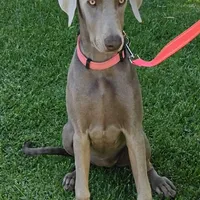 processed/20952a1b-0eb8-4527-be57-9e3b5198cefa/facility/89b0e494-eaca-4901-aa6e-65be4b3434aa