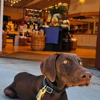 processed/20952a1b-0eb8-4527-be57-9e3b5198cefa/facility/b2f089a7-a79f-427f-94e5-53b5ab6dfa6f