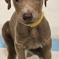 processed/20952a1b-0eb8-4527-be57-9e3b5198cefa/facility/d21ed936-bc9f-4c3c-a8b5-86b310882206