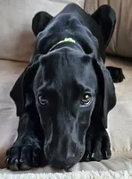 processed/20952a1b-0eb8-4527-be57-9e3b5198cefa/listing/c7808cac-6a09-4926-acd2-a53cf4a4fef4/03ccb1e4-fb19-40e2-b9e5-cba68bc6a753