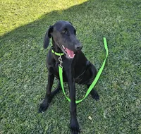 processed/20952a1b-0eb8-4527-be57-9e3b5198cefa/listing/c7808cac-6a09-4926-acd2-a53cf4a4fef4/96e77ab6-3c4d-454d-9b4d-ea9f32d5f0c3