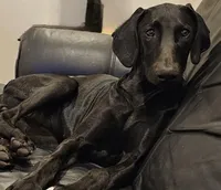 processed/20952a1b-0eb8-4527-be57-9e3b5198cefa/listing/c7808cac-6a09-4926-acd2-a53cf4a4fef4/f9730111-5c4c-4f36-9b33-00b348295a61