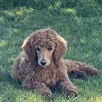 processed/20959a91-0a4a-4cb1-a50f-262113fa2c19/facility/37a39082-84d1-4e65-9c1f-1635acca9b9e