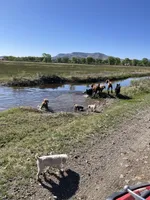 processed/20959a91-0a4a-4cb1-a50f-262113fa2c19/facility/7e8bc5a3-1358-449f-97d4-8a696c544e2b