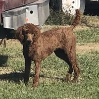 processed/20959a91-0a4a-4cb1-a50f-262113fa2c19/facility/b47fb95b-25fc-4f5e-97dd-57c6379ec757