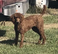 processed/20959a91-0a4a-4cb1-a50f-262113fa2c19/facility/b47fb95b-25fc-4f5e-97dd-57c6379ec757