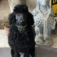 processed/20959a91-0a4a-4cb1-a50f-262113fa2c19/facility/c6721230-3e98-48a5-819f-f5a166c5eebc