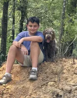 Boone, a male Wirehaired Pointing Griffon for sale in Decatur, MS – 1 of 8