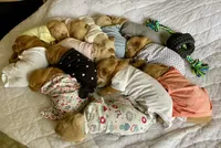 processed/20a8ec71-3a8f-4ccf-a6b0-bdd33d1be0d8/facility/b0636d1b-2216-4d27-8138-08a31c6cd7a5