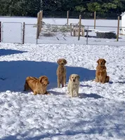 processed/20a8ec71-3a8f-4ccf-a6b0-bdd33d1be0d8/facility/b2010ae9-166f-4e92-b41a-f752d7efdbf7