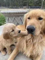 processed/20a8ec71-3a8f-4ccf-a6b0-bdd33d1be0d8/facility/c76d31a4-cdcc-4b8e-91ae-b78d3b708a96