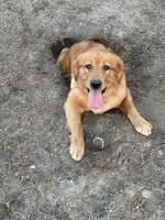 processed/20a8ec71-3a8f-4ccf-a6b0-bdd33d1be0d8/facility/fa839ad3-eb62-454f-80cb-23e310108c96