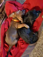 processed/20ab04b4-8a33-4893-8b13-ab3ef0e253e4/facility/738d5e97-a8cd-401c-ba02-956f1f26d12c