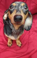 processed/20ab04b4-8a33-4893-8b13-ab3ef0e253e4/facility/7ccb8e43-5265-4ac4-815a-fc5e4c0e4900