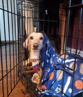 processed/20ab04b4-8a33-4893-8b13-ab3ef0e253e4/facility/fa992173-b4ed-4359-ad6c-3062fe824475