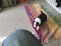 processed/20b0eeb4-00c5-4b9a-a0d2-a33e313ed8ae/listing/0787a742-b920-4633-b4d3-d2ee55f4c22b/522050fe-cb4f-48b4-bf52-b2d3f00fa578