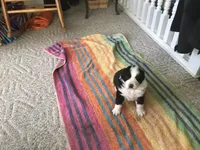 processed/20b0eeb4-00c5-4b9a-a0d2-a33e313ed8ae/listing/0787a742-b920-4633-b4d3-d2ee55f4c22b/99d2bbb3-87af-4dd1-bc2d-6f04066925f0