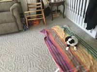 processed/20b0eeb4-00c5-4b9a-a0d2-a33e313ed8ae/listing/0787a742-b920-4633-b4d3-d2ee55f4c22b/b4b8e999-a53a-45a2-99df-a504b45dd1bb